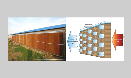 Evaporative cooling pads